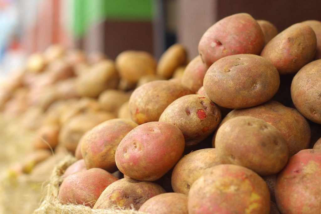  Pendant combien de temps les pommes de terre seront-elles conservées 